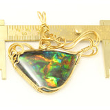 Full-Spectrum Ammolite Fossil Triplet in Wire-Wrapped Pendant with Gold-Filled Wire.