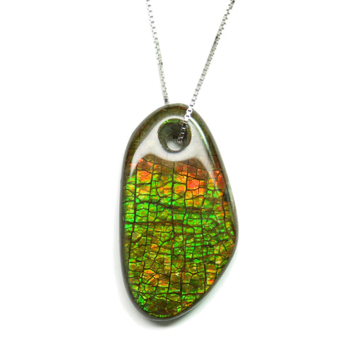 Crackled Ammolite Fossil Pendant Resembling a Dragonfly's Wing